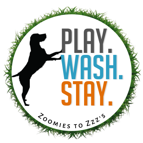 Play Wash Stay | Chattanooga, TN